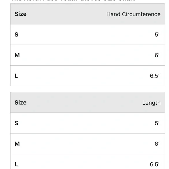 - NWT  The North Face Girls' Mossbud Swirl Gloves - Picture 4 of 4